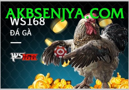 Đá Gà Trực Tiếp - tk88