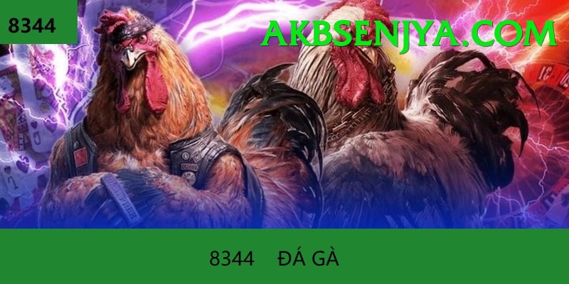 Đá Gà Trực Tiếp - Trải nghiệm tuyệt vời