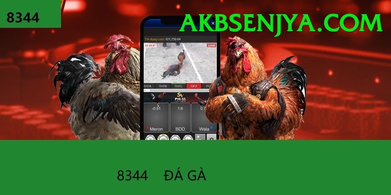 Đá Gà Trực Tiếp - Ưu đãi đặc biệt